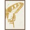 Butterfly Wings II by Wild Apple Portfolio Framed Canvas Wall Art